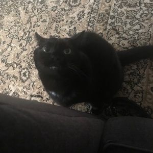 Meet your Posher, Vincent